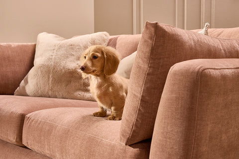 Daydream - 3 Seater - Vintage Velvet - Blush